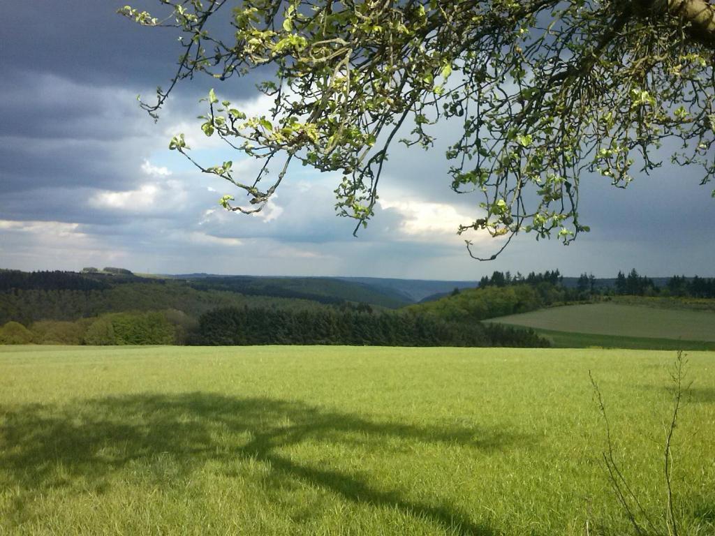 Hotel Haus Christa Bad Bertrich Buitenkant foto